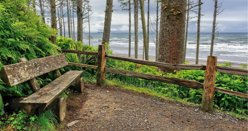 Shreenathjis Destinations